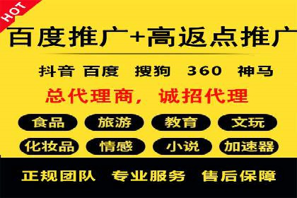 SEM托管成功案例：揭秘高效广告投放策略